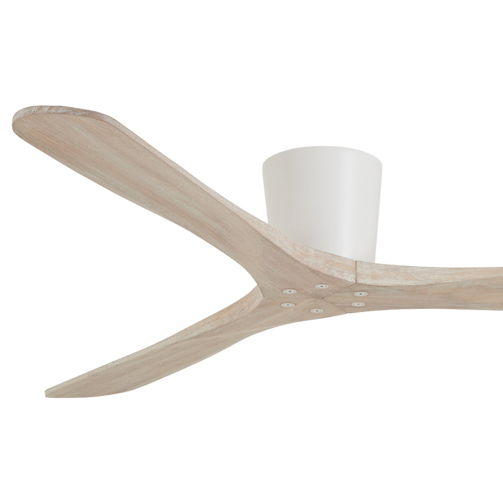 Avtur Ceiling Fan in Detail.