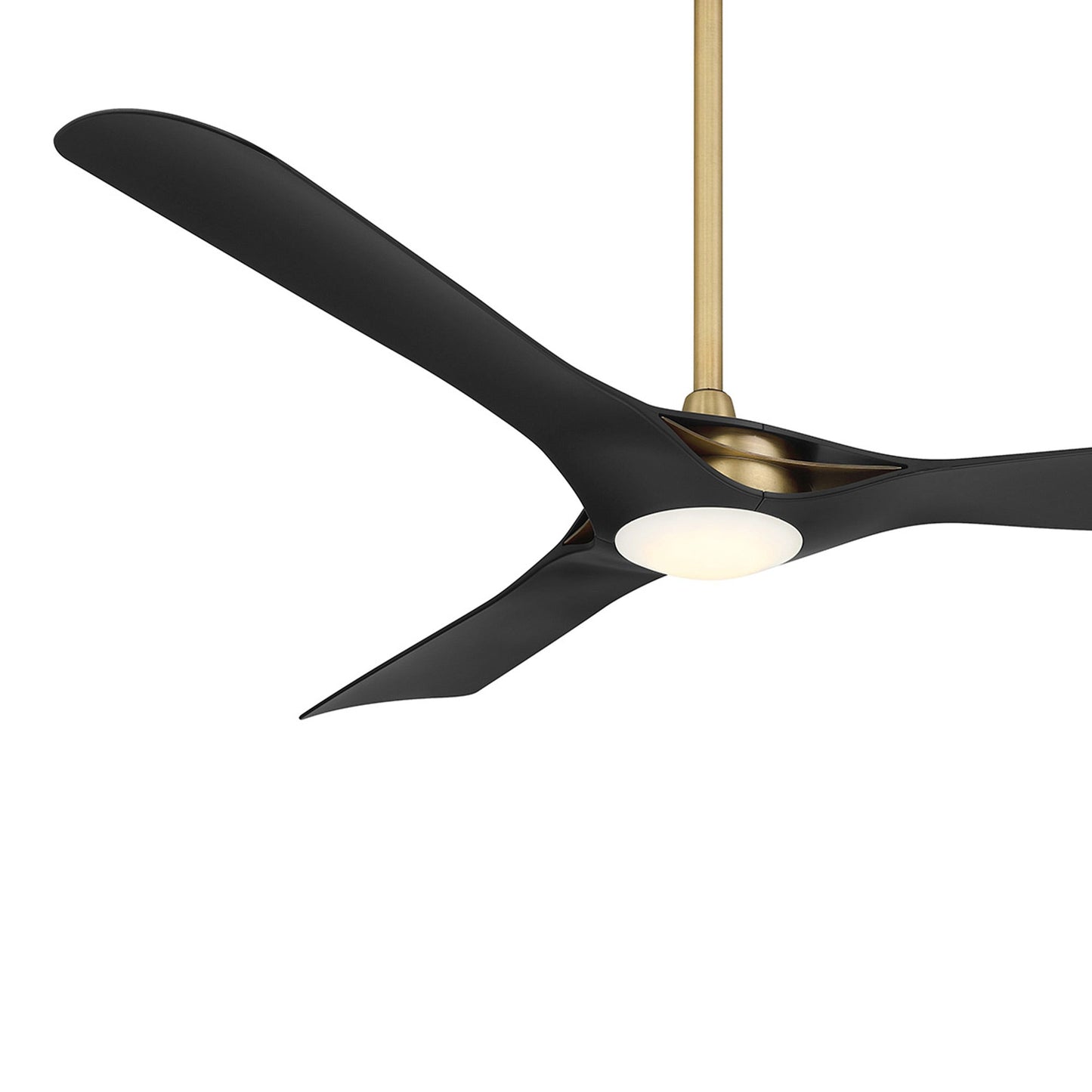 Bridge Smart LED Ceiling Fan in Detail.