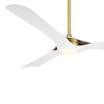 Bridge Smart LED Ceiling Fan in Detail.