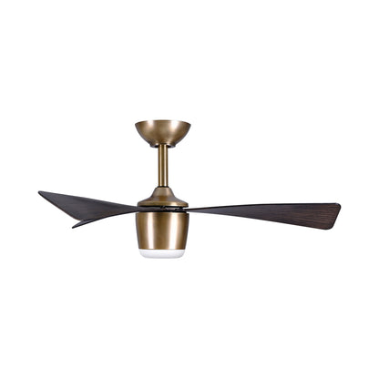 Elavan Outdoor LED Ceiling Fan in Detail.