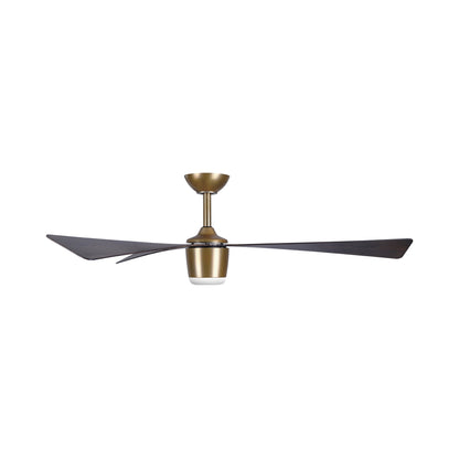 Elavan Outdoor LED Ceiling Fan in Detail.