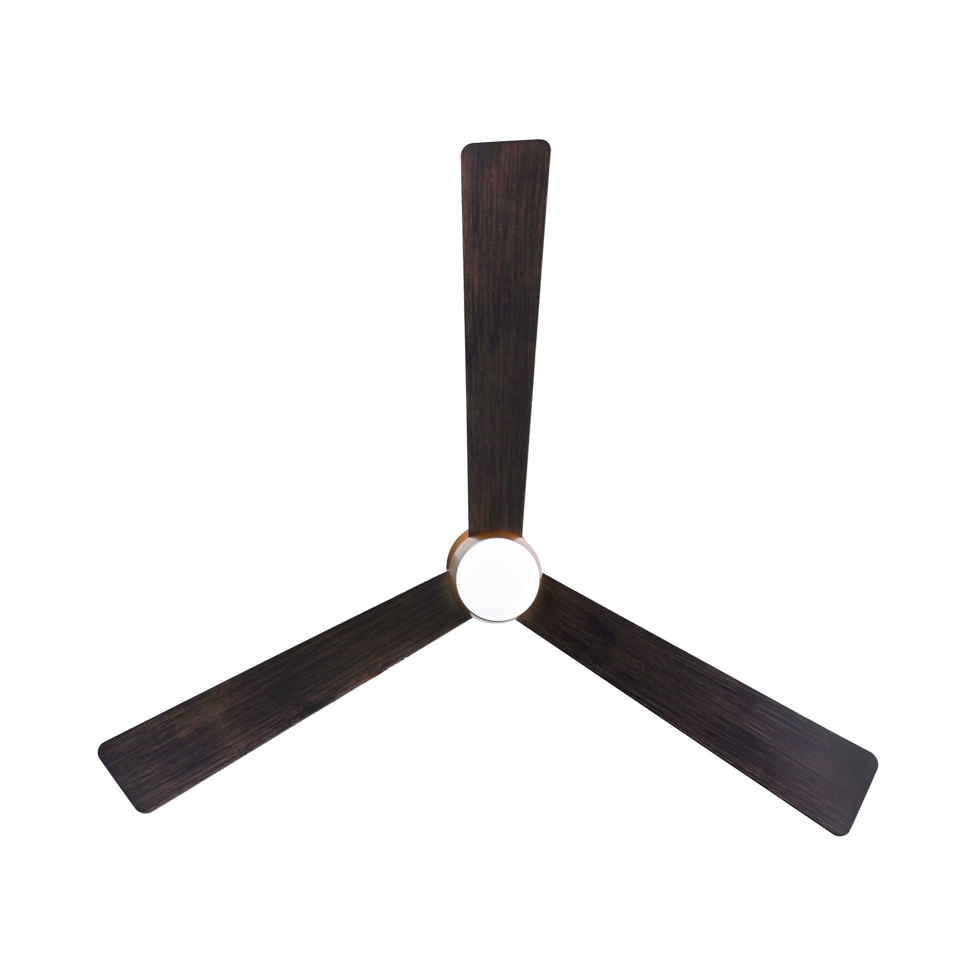 Elavan Outdoor LED Ceiling Fan in Detail.