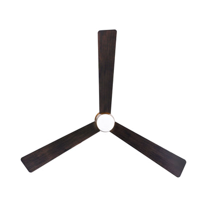 Elavan Outdoor LED Ceiling Fan in Detail.