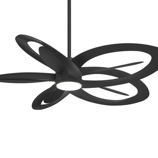 Pinup LED Ceiling Fan in Detail.