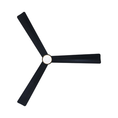 Simple Outdoor LED Ceiling Fan in Detail.