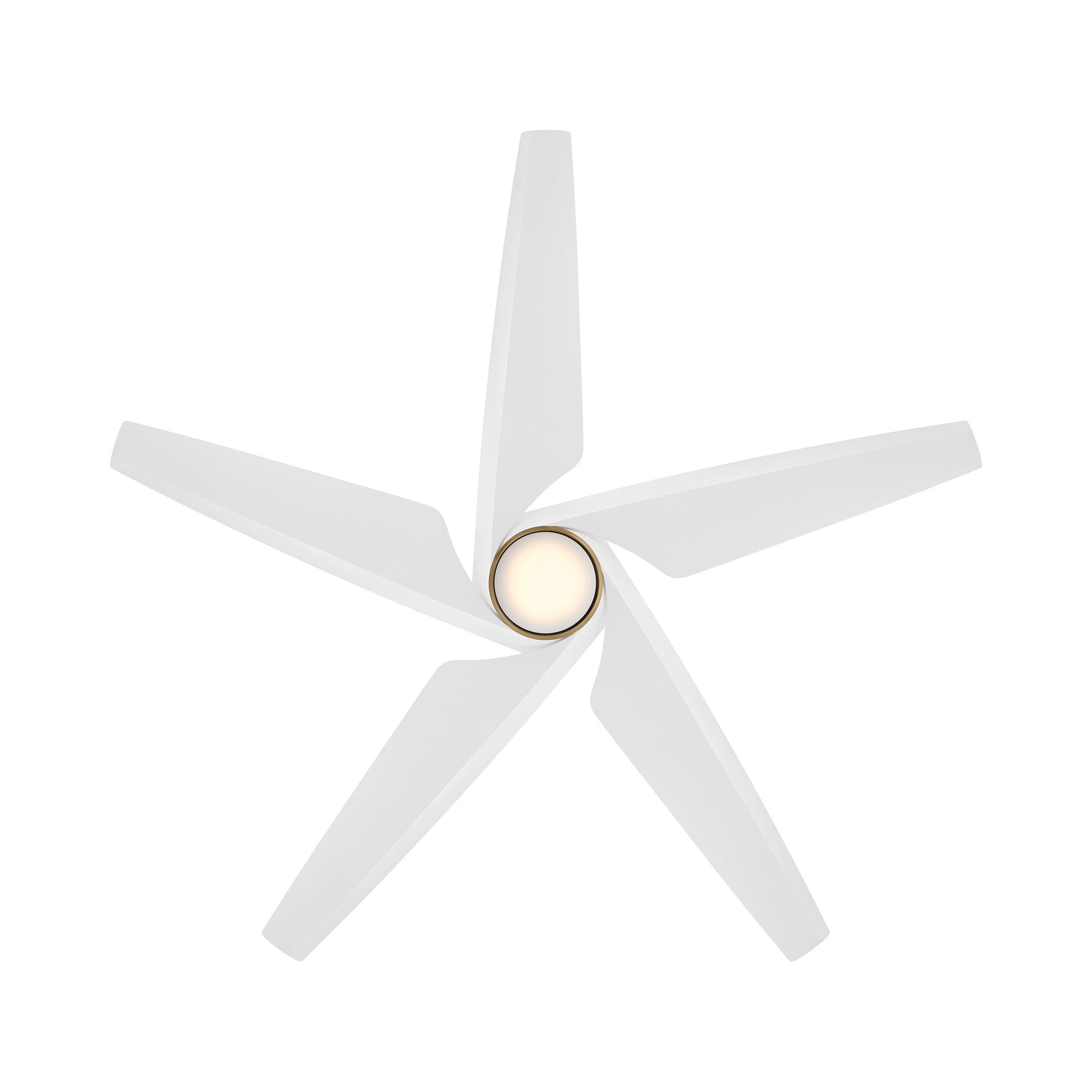Switch Smart Dual LED Mount Ceiling Fan in Detail.