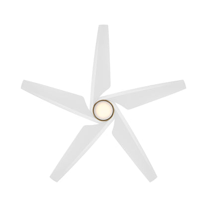 Switch Smart Dual LED Mount Ceiling Fan in Detail.
