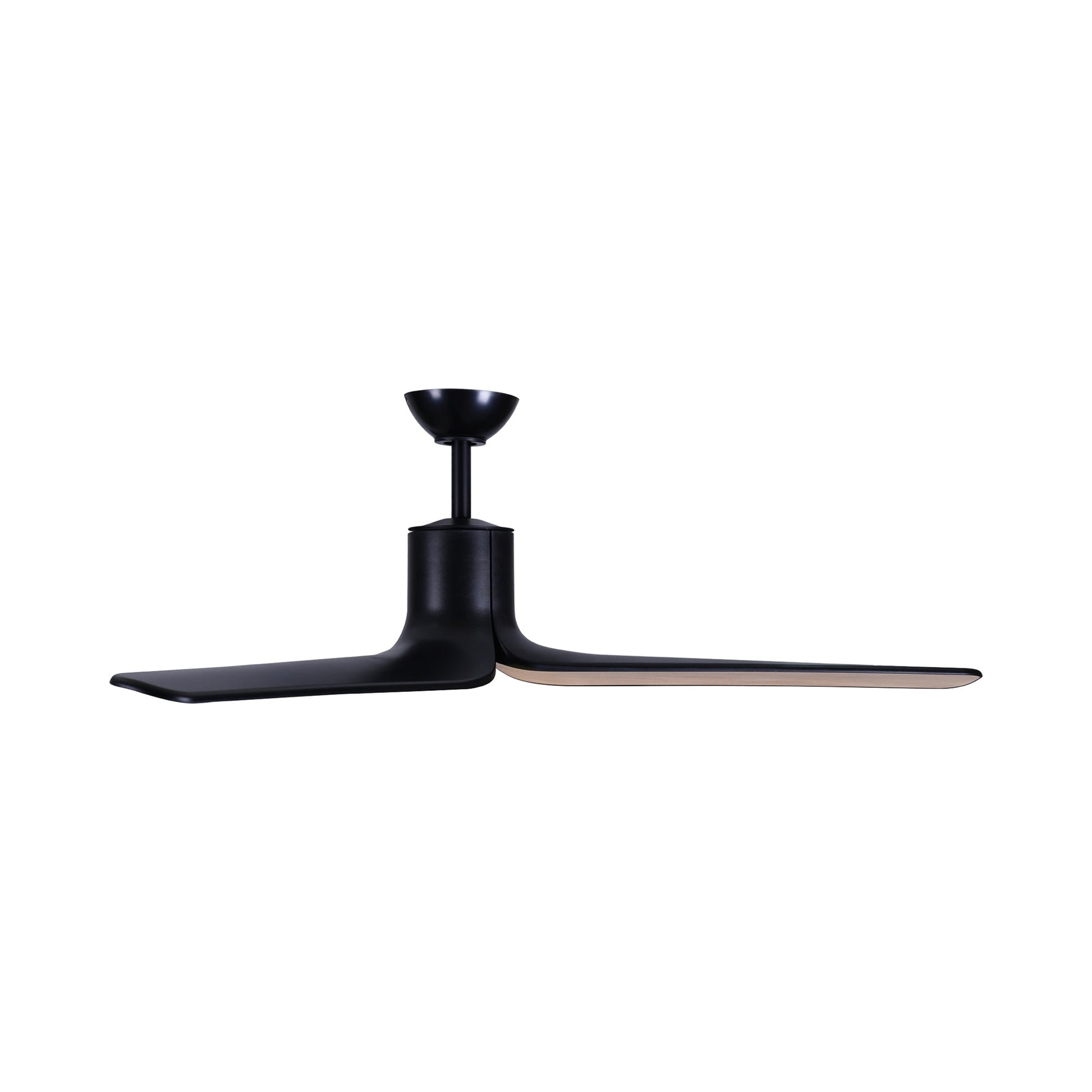 Tempri Outdoor LED Ceiling Fan in Detail.