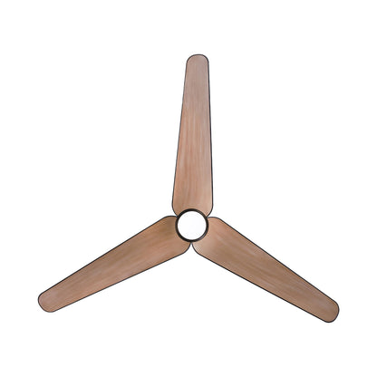 Tempri Outdoor LED Ceiling Fan in Detail.