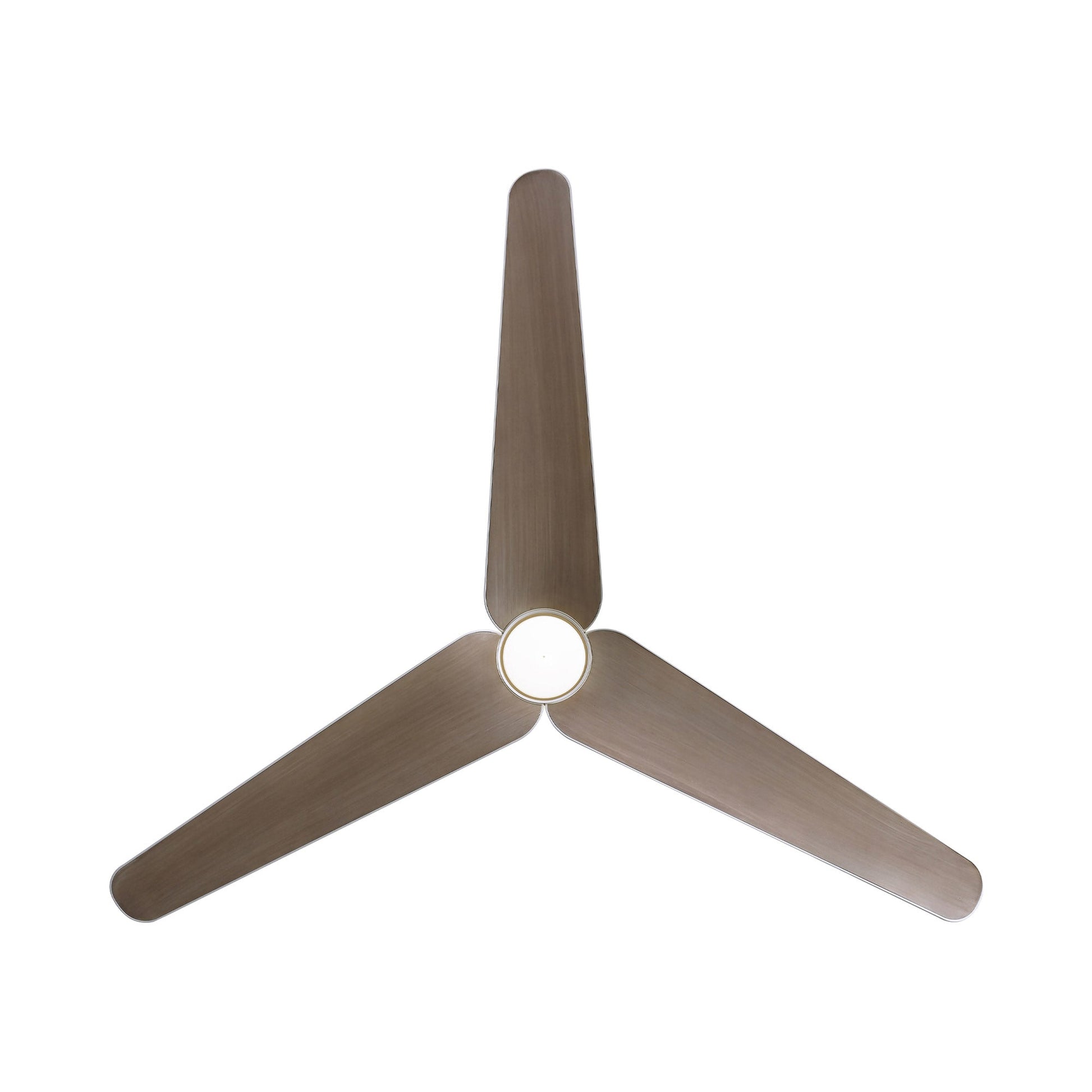 Tempri Outdoor LED Ceiling Fan in Detail.