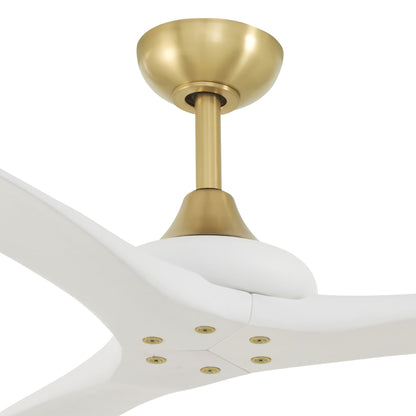 Vapor Ceiling Fan Kit in Detail.