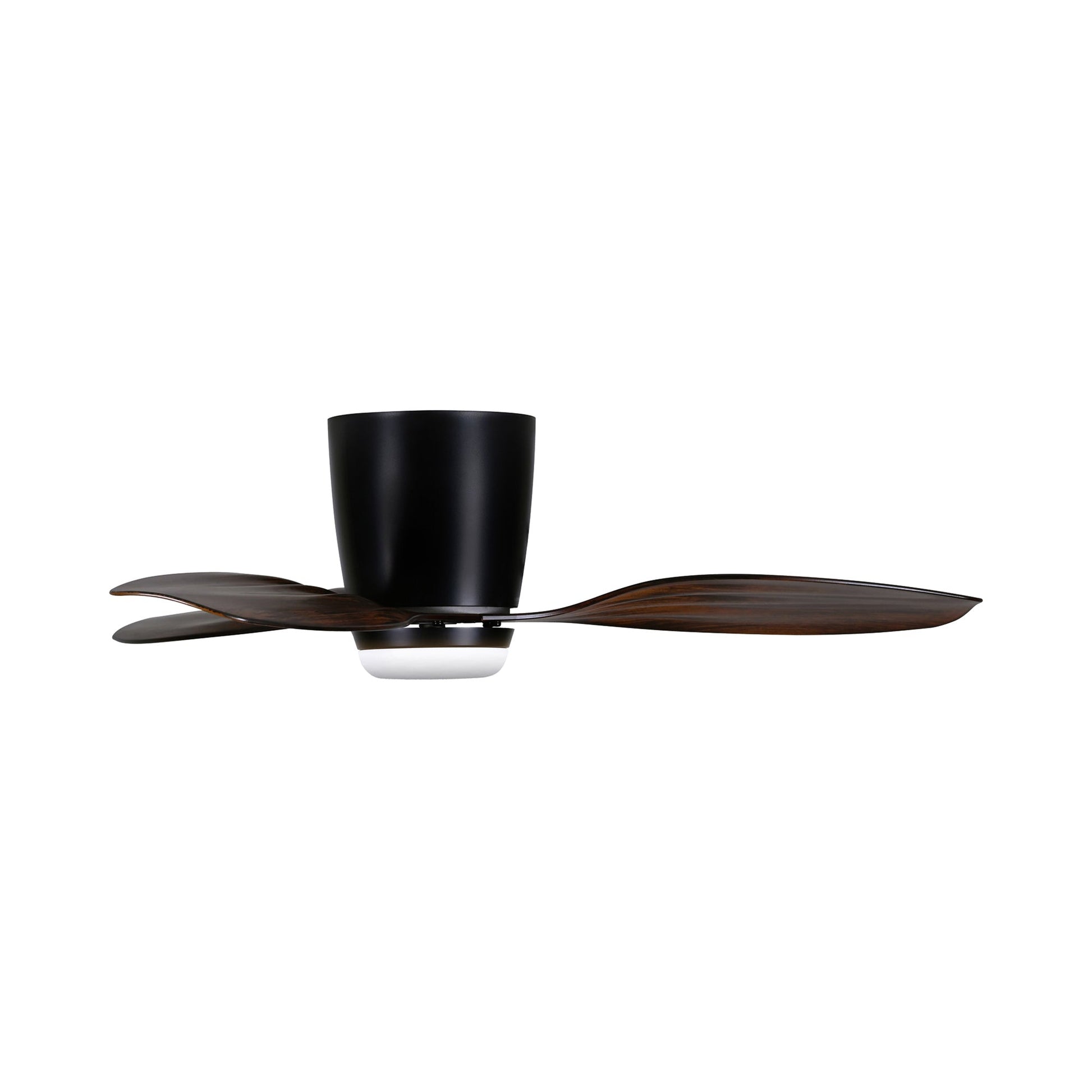 Ventiara Outdoor LED Ceiling Fan in Detail.