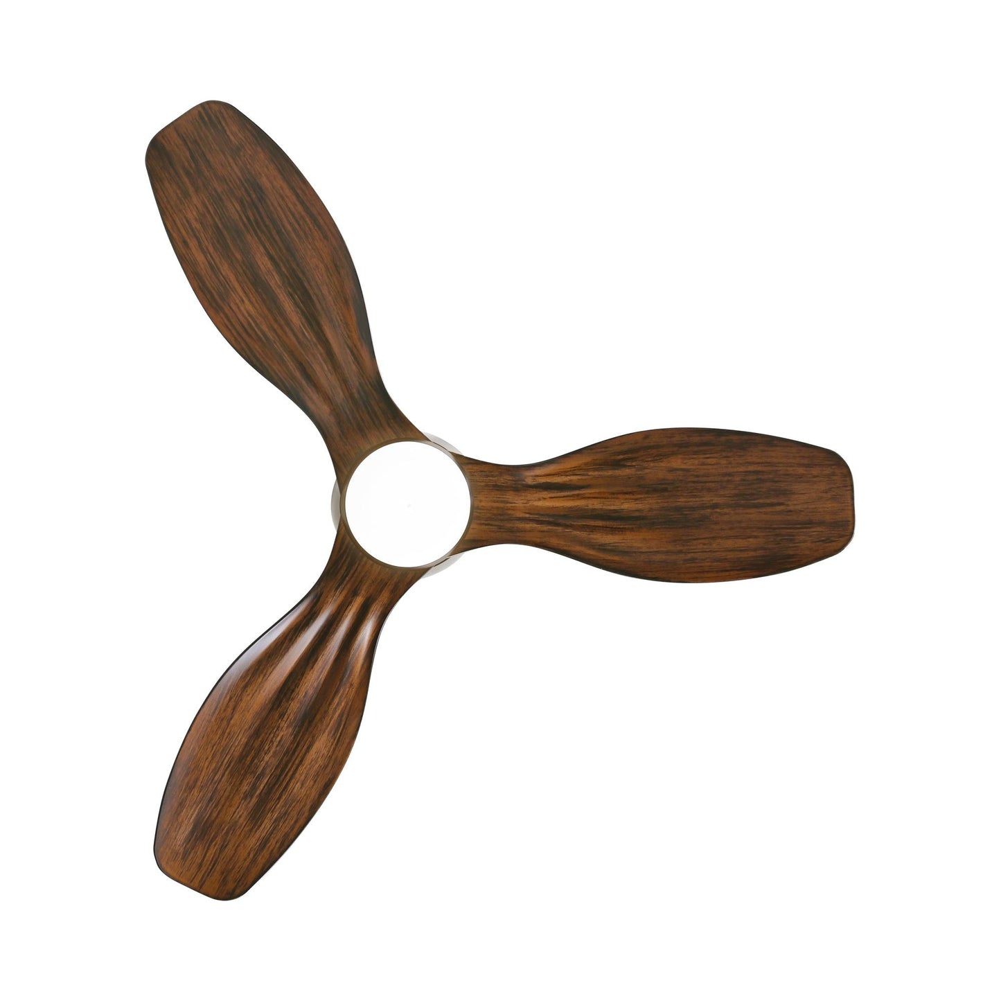 Ventiara Outdoor LED Ceiling Fan in Detail.