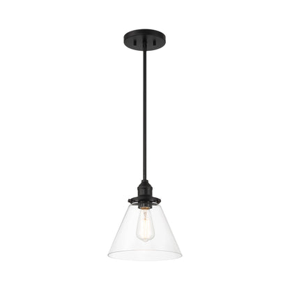 Barwell Pendant Light in Coal Black.
