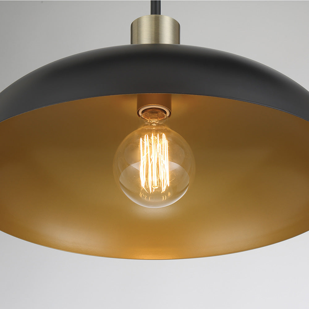 Biloxi Pendant Light in Detail.