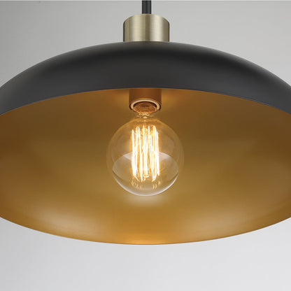 Biloxi Pendant Light in Detail.