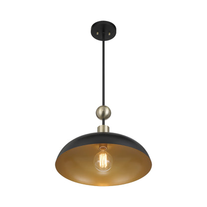 Biloxi Pendant Light in Detail.