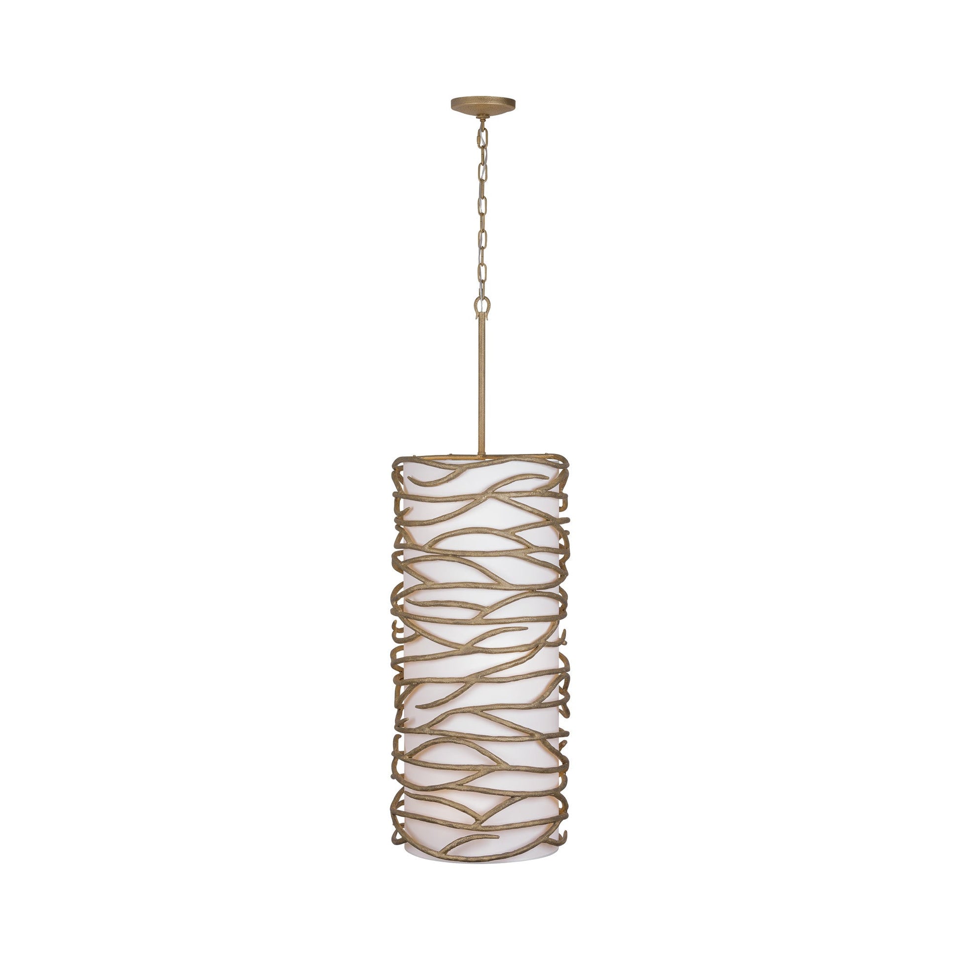 Branch Reality 3716 Pendant Light in Detail.