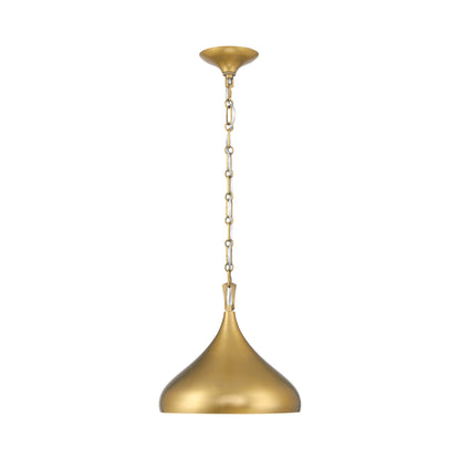 Cedar Lane Pendant Light in Detail.