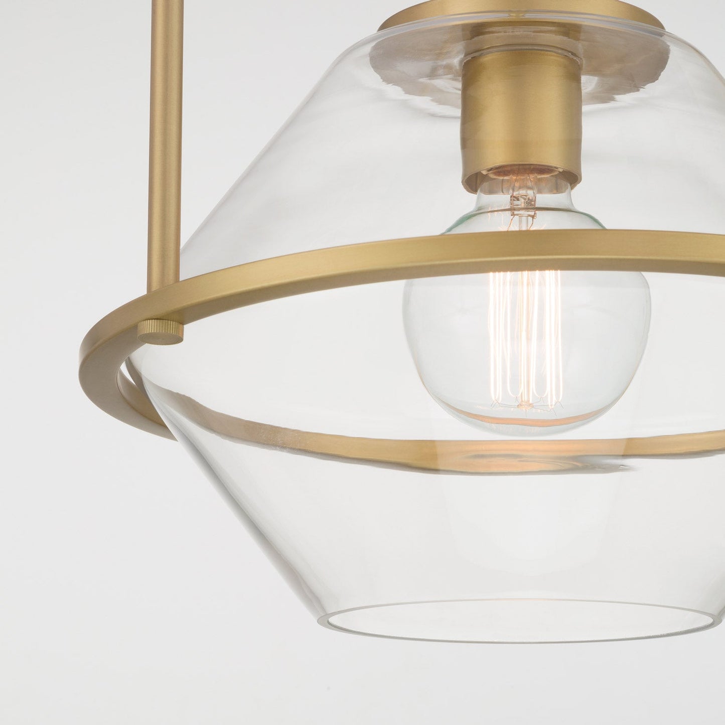 Coralyn Pendant Light in Detail.