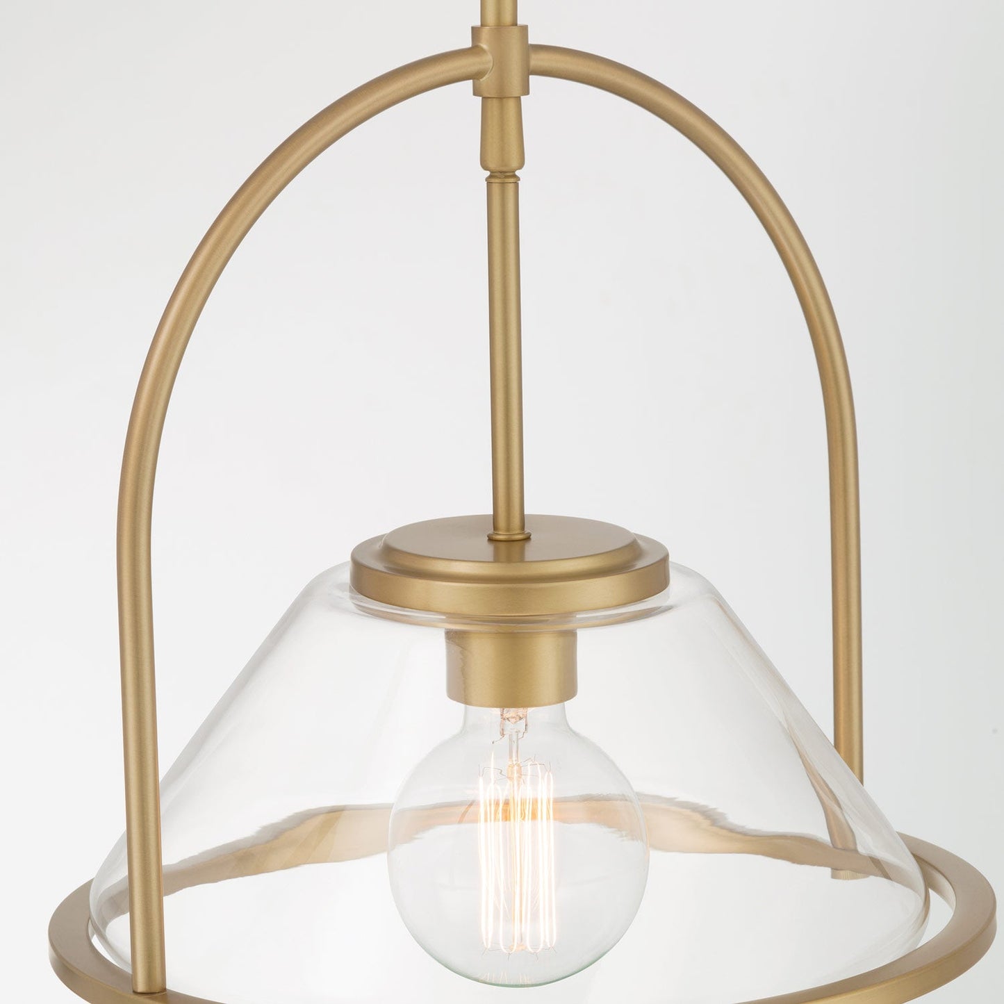 Coralyn Pendant Light in Detail.