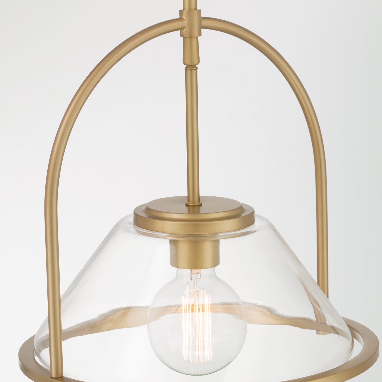 Coralyn Pendant Light in Detail.