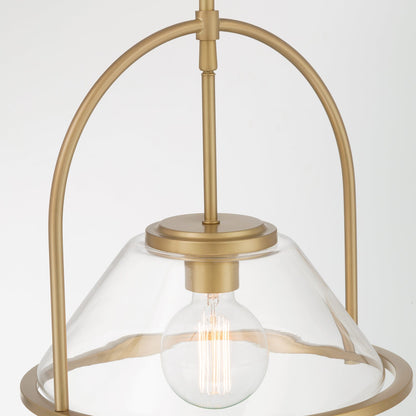 Coralyn Pendant Light in Detail.
