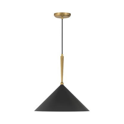Cortan Pendant Light in Detail.