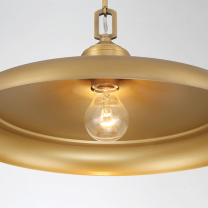 Crowne Pendant Light in Detail.
