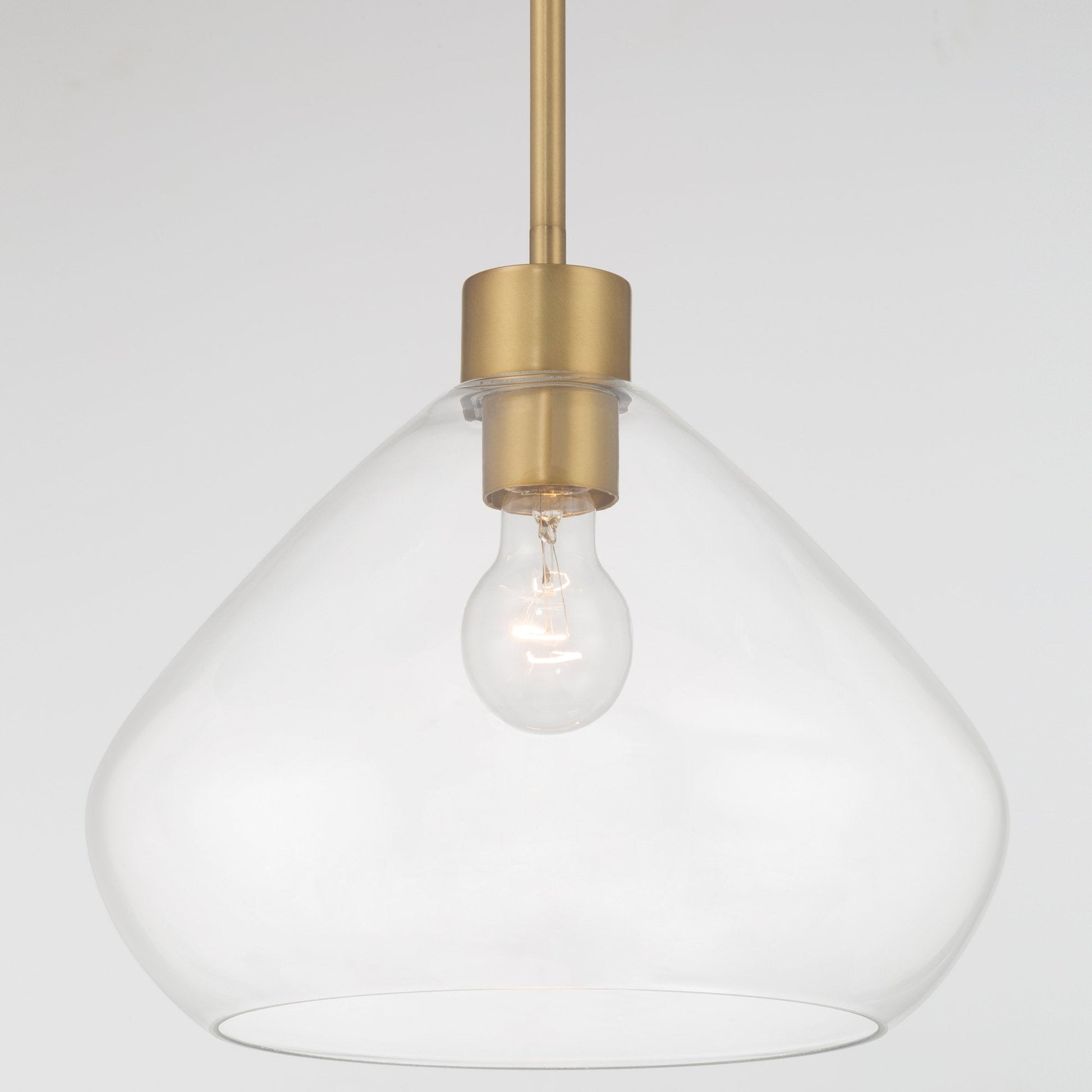Elaris Pendant Light in Detail.