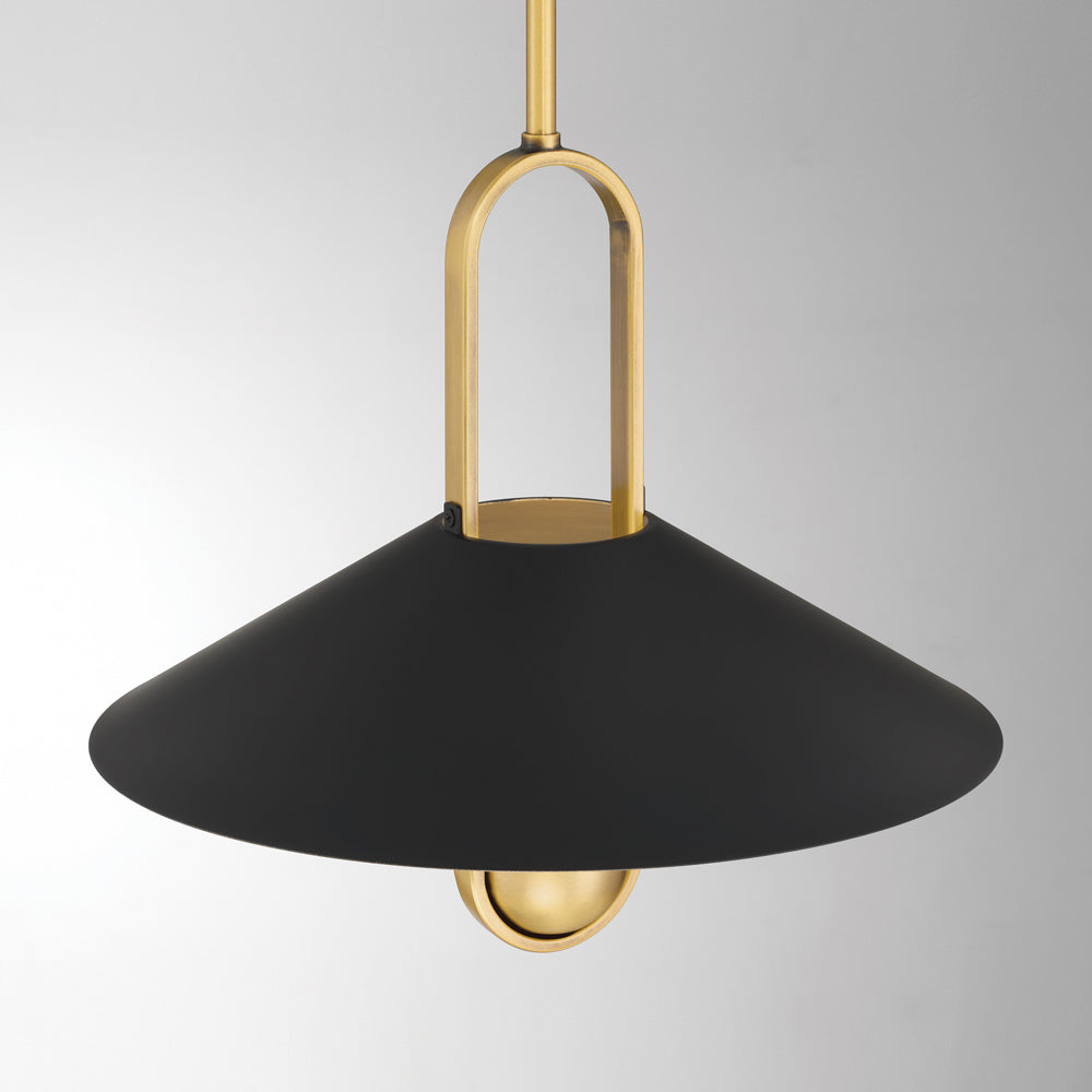 Goldenridge Pendant Light in Detail.
