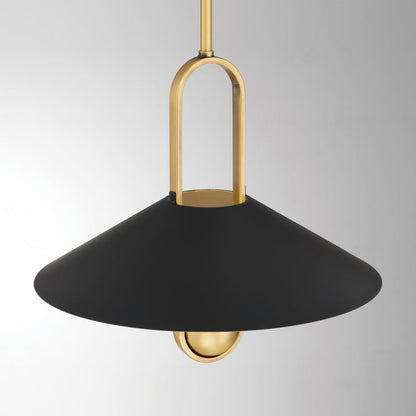 Goldenridge Pendant Light in Detail.