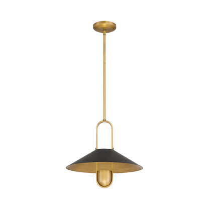 Goldenridge Pendant Light in Detail.