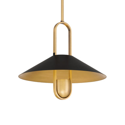 Goldenridge Pendant Light in Detail.