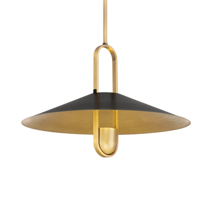 Goldenridge Pendant Light in Detail.
