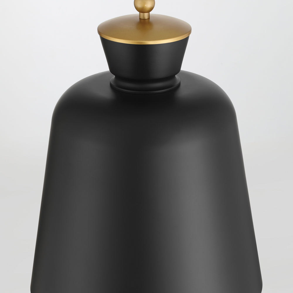 Holloway Pendant Light in Detail.