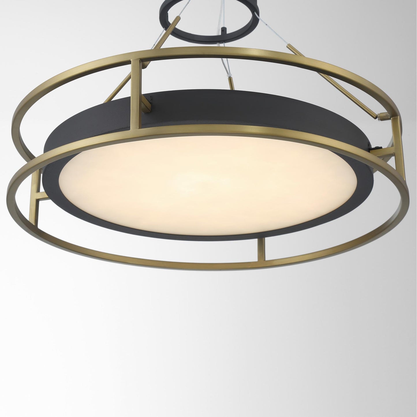 Levitation LED Pendant Light in Detail.