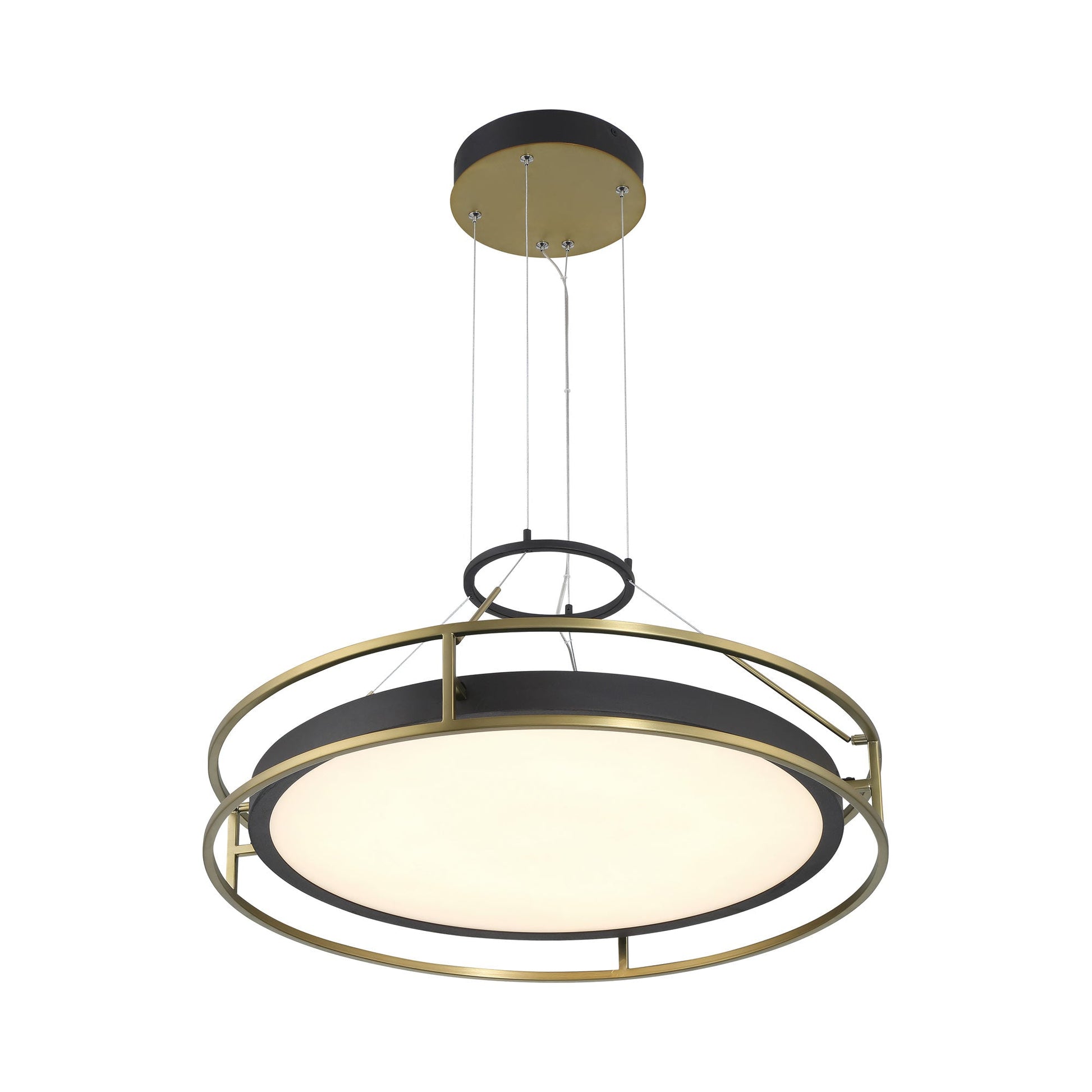 Levitation LED Pendant Light in Detail.