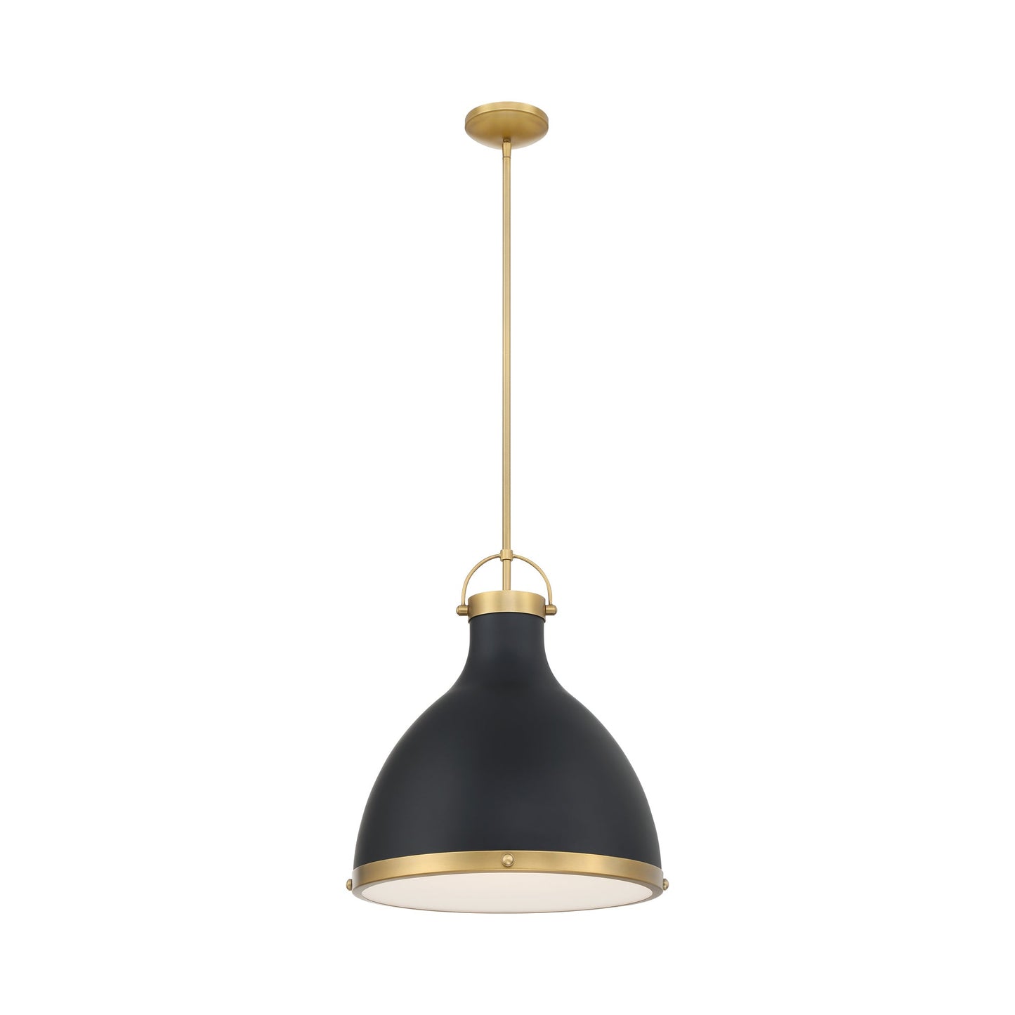 Lynk Pendant Light in Dark Matte Black.