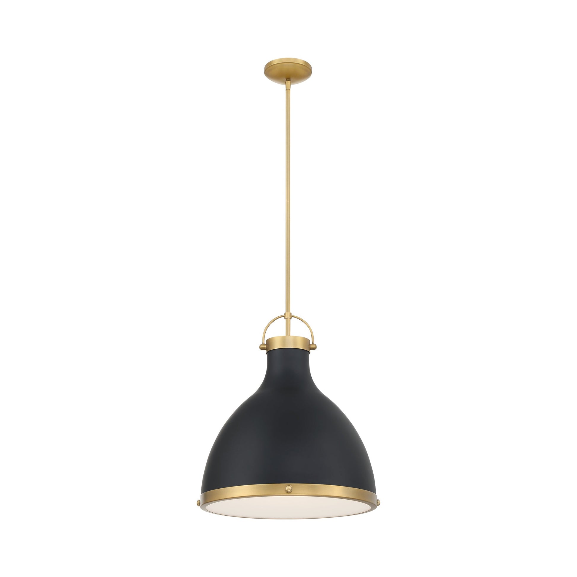 Lynk Pendant Light in Dark Matte Black.