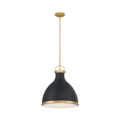 Lynk Pendant Light in Dark Matte Black.