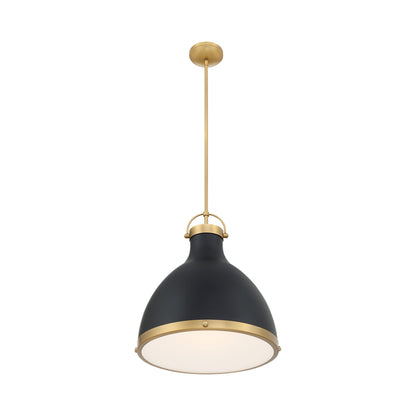 Lynk Pendant Light.