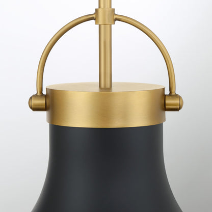Lynk Pendant Light in Detail.