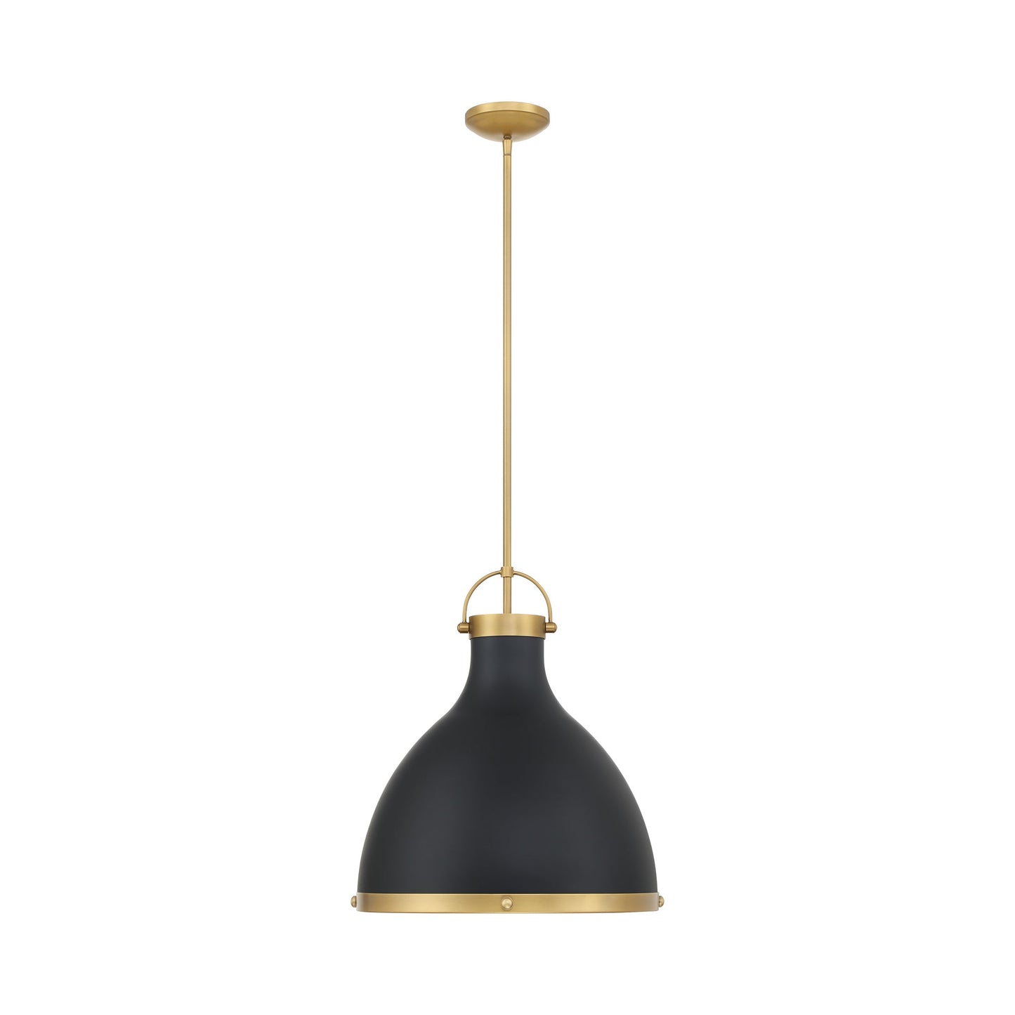 Lynk Pendant Light in Detail.