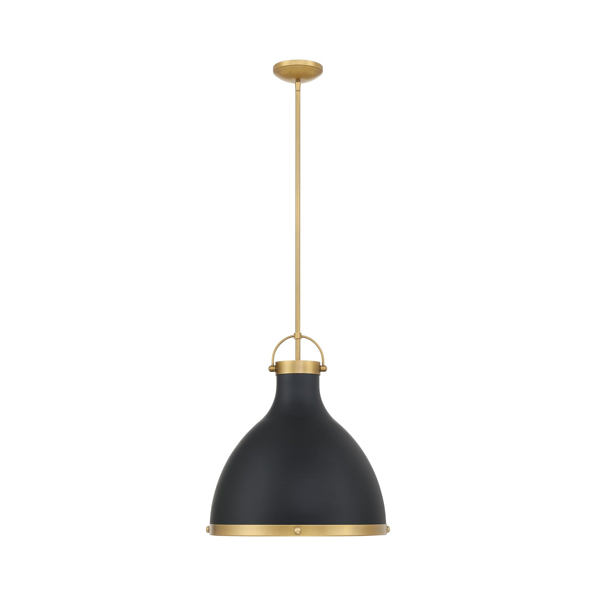 Lynk Pendant Light in Detail.