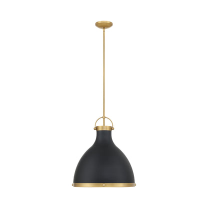Lynk Pendant Light in Detail.