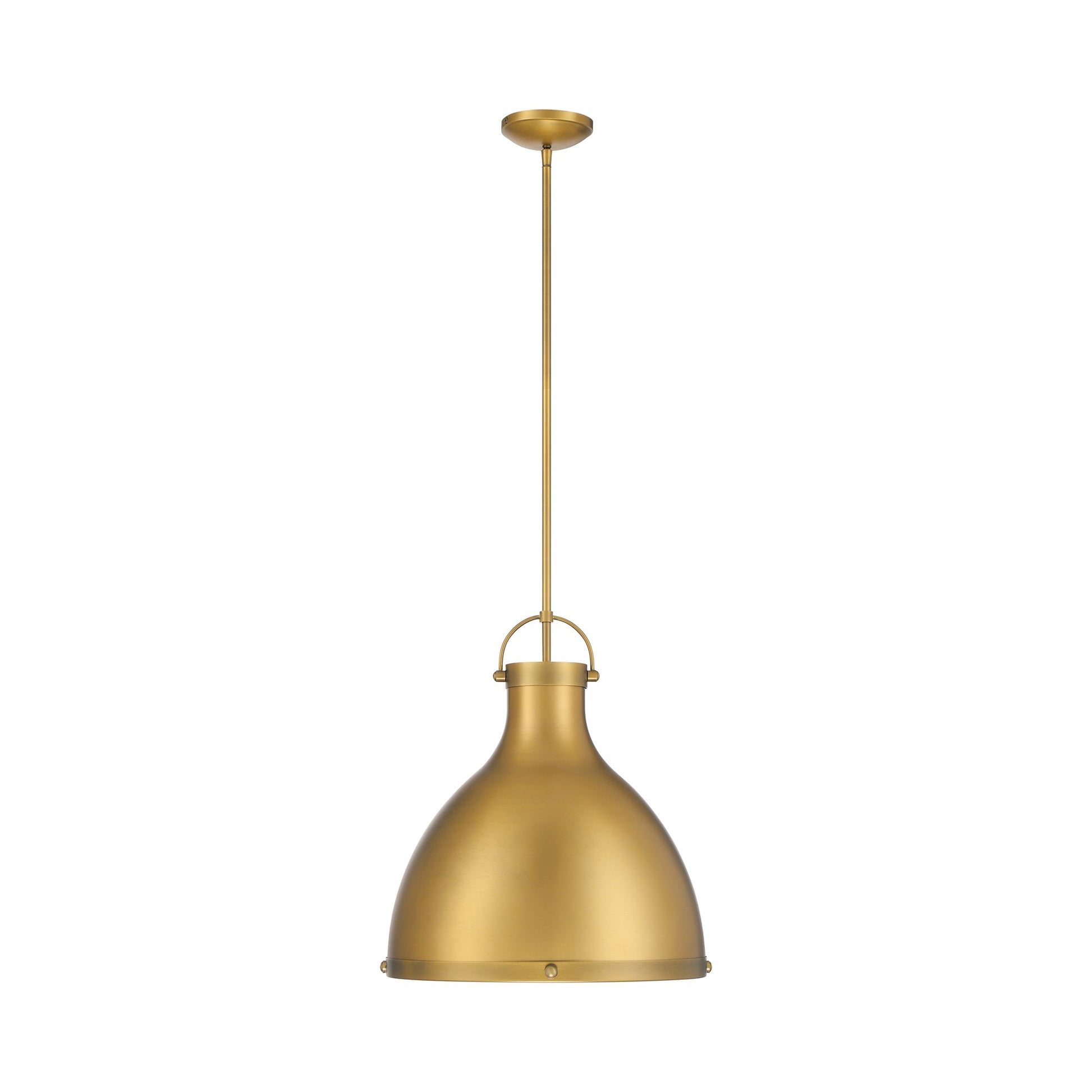 Lynk Pendant Light in Detail.