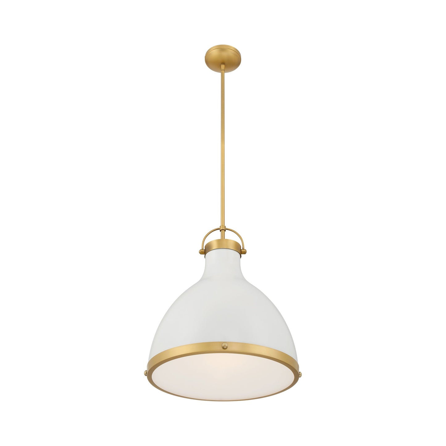 Lynk Pendant Light in Detail.