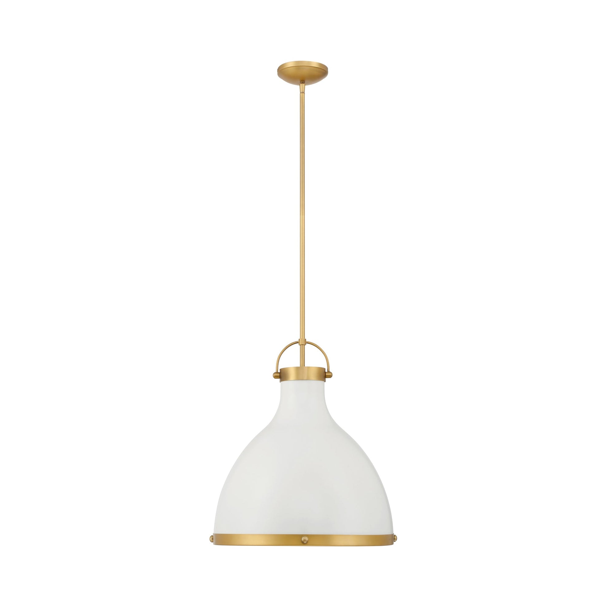 Lynk Pendant Light in Detail.