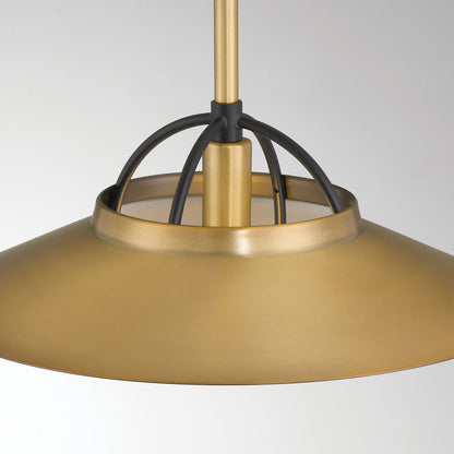 Newburie Pendant Light in Detail.